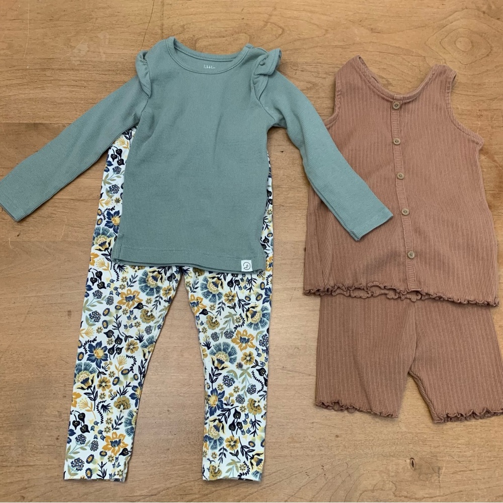 2 Toddler Girl Outfits - 18 months